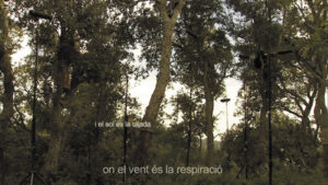 Assaig de mimologia forestal, 2005
